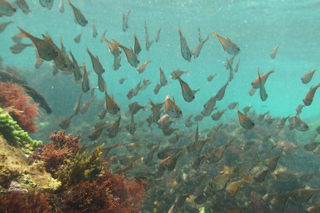 20150628_02.jpg