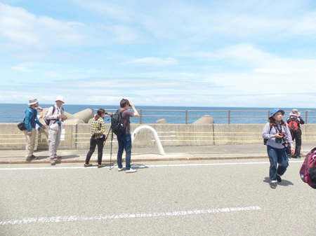 20170506_004.jpg