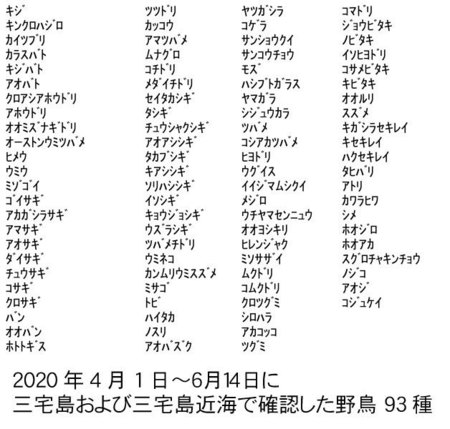 202004010614_93.jpg