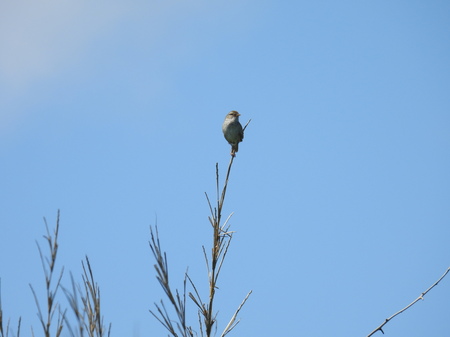 DSCN2345.JPG