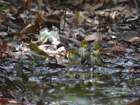 DSCN2853.JPG