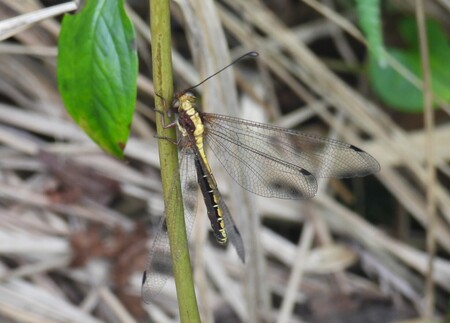 DSCN3306.JPG