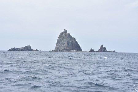 DSC_3464.jpg