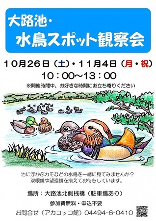 スポット観察会.jpg