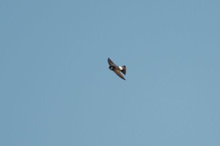 IMGP6338.jpg