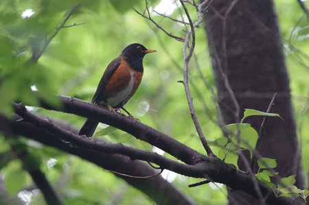 IMGP7261.jpg