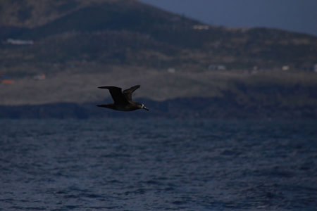 IMG_4106.jpg