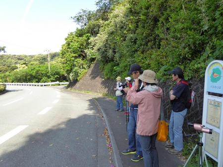 P1000183.JPG