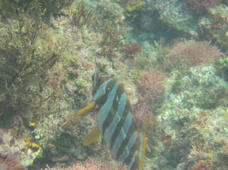 P1010041.JPG