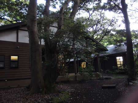 P4261093.jpg