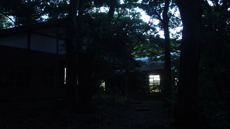 P4291326.jpg