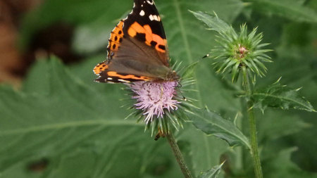 PB121393.jpg