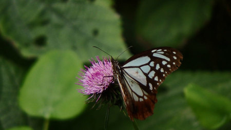 PB121425.jpg