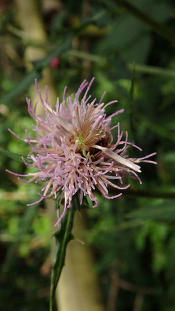 PB121430.jpg