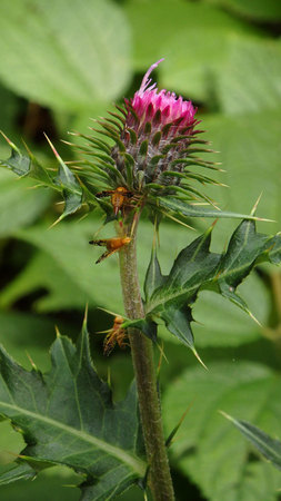 PB121446.jpg