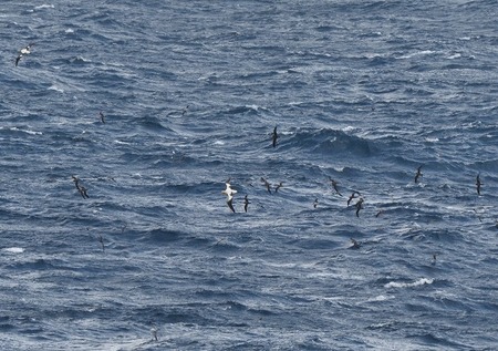 s-DSC_5984_00006.jpg