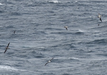 s-DSC_6192_00001.jpg