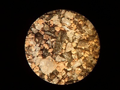 s-P2050239.jpg